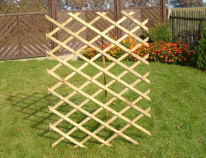 10137 - Pergola Emilia