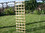 /environment/cache/images/300_0_productGfx_25adcc3124111f11ee66216188fe7c26.jpg