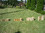 /environment/cache/images/300_0_productGfx_3369216faaab494582dee225079102cb.jpg