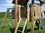 /environment/cache/images/300_0_productGfx_b198489b2af88658fd5f487c547de673.jpg