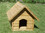 /environment/cache/images/300_0_productGfx_bdc5e1772580300ccdcae2c92d02e60d.jpg